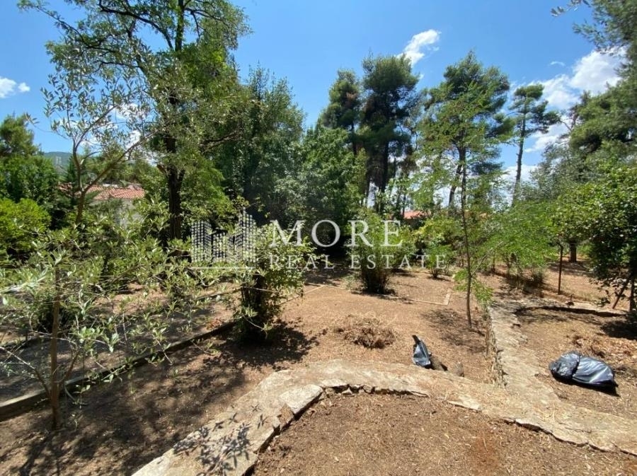 (For Sale) Land Plot || East Attica/Dionysos - 1.272 Sq.m, 1.070.000€ 