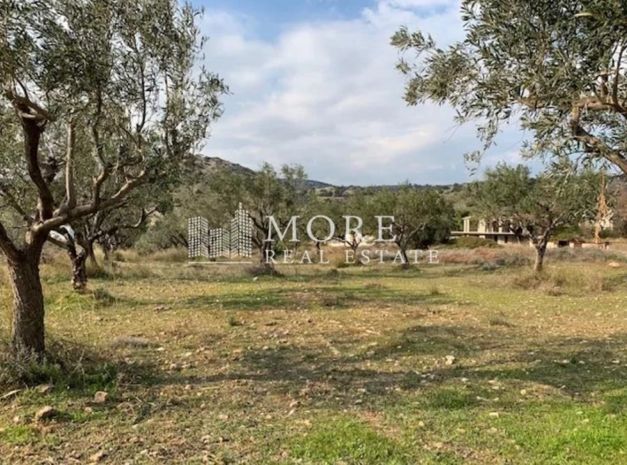 (For Sale) Land Plot || East Attica/Kalyvia-Lagonisi - 7.535 Sq.m, 3.000.000€ 