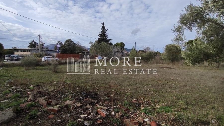 (For Sale) Land Plot || East Attica/Afidnes (Kiourka) - 805 Sq.m, 60.000€ 