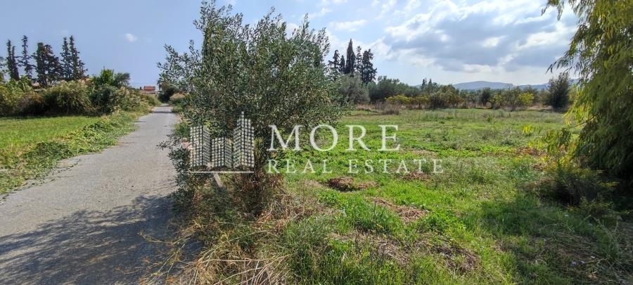 (For Sale) Land Plot || East Attica/ Oropos - 4.000 Sq.m, 400.000€ 