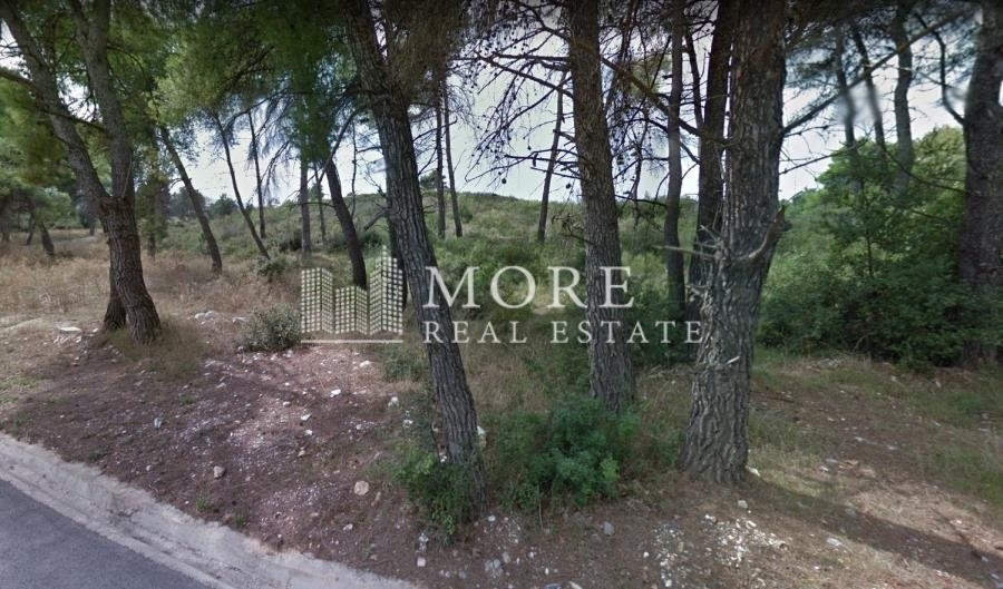 (For Sale) Land Plot || East Attica/Stamata - 3.650 Sq.m, 115.000€ 