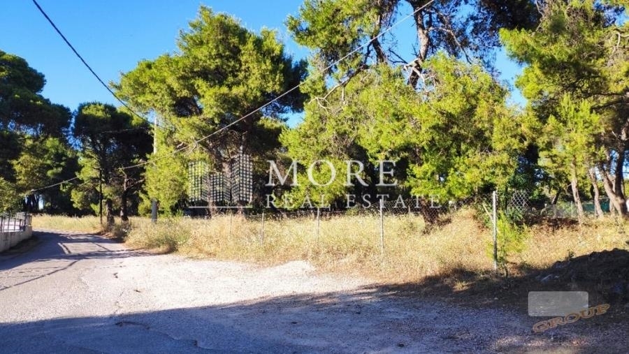 (For Sale) Land Plot || East Attica/Agios Stefanos - 1.000 Sq.m, 360.000€ 